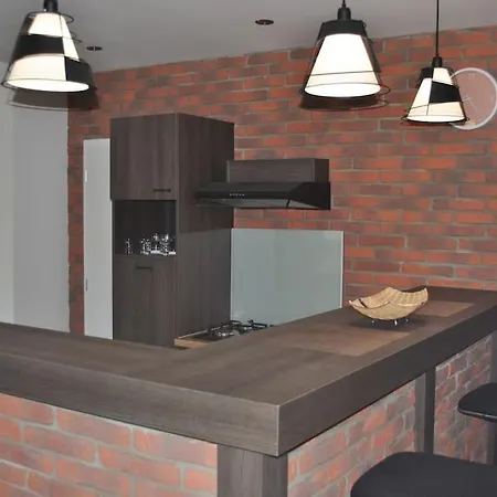 Na Ulici Jedlova 12 דירה